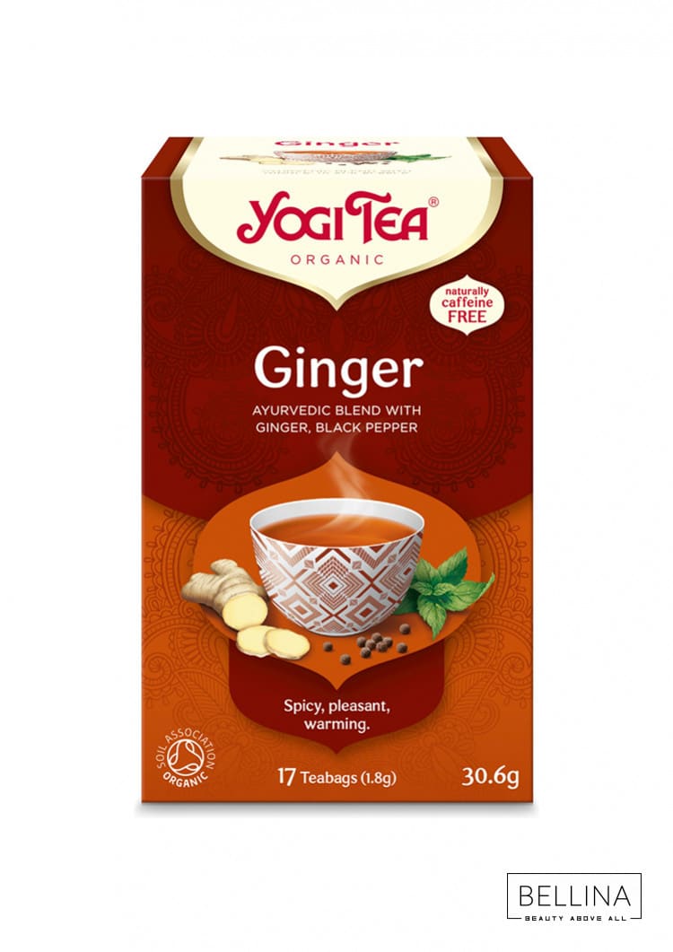 Органски чај Ginger - x17